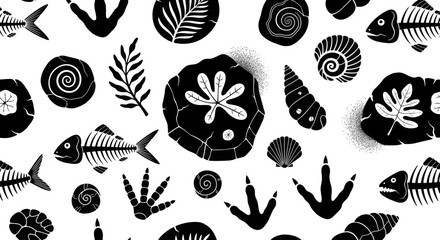 Collection of ancient fossils and prehistoric imprints. © Yuni