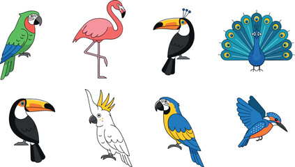 Obraz premium Colorful tropical bird illustration set featuring parrot flamingo toucan peacock cockatoo kingfisher in flat cartoon vector style