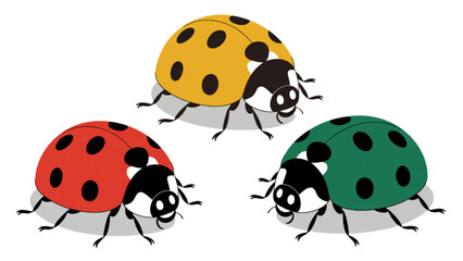 Fototapeta premium Three colorful ladybugs illustration