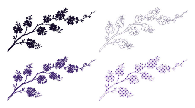 Japanese cherry blossom branch vector set, blooming sakura floral silhouettes, botanical plum tree sprig illustrations in black and purple isolated on White Background