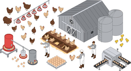 Poultry Farm Production Isometric Set with Chicken Coop, Egg Collection, Feeding System and Processing Equipment Vector Illustration © Minara