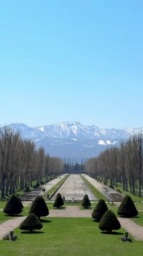北海道の前田森林公園の春。札幌市手稲区。縦構図