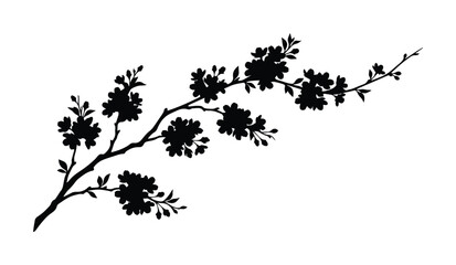Elegant cherry blossom branch silhouette, delicate floral vector illustration, blooming sakura tree element, spring flower design resource for branding and decor isolated on White Background © Ambreen