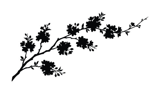 Elegant cherry blossom branch silhouette, delicate floral vector illustration, blooming sakura tree element, spring flower design resource for branding and decor isolated on White Background