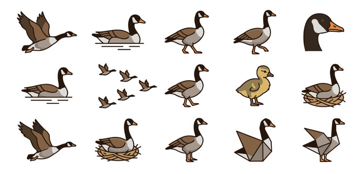 Comprehensive Canadian Goose Vector Icon Set Featuring Flying, Swimming, Nesting Birds, Cute Baby Goslings, and Geometric Origami Shapes