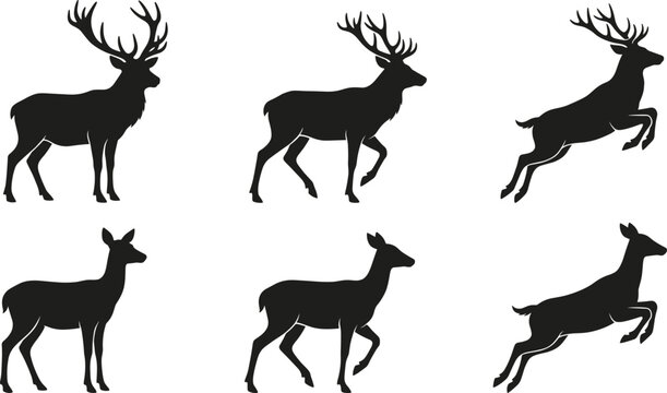 Black Silhouette Deer and Stag Collection Set with Standing Walking and Jumping Poses Male and Female Vector Illustration on White Background