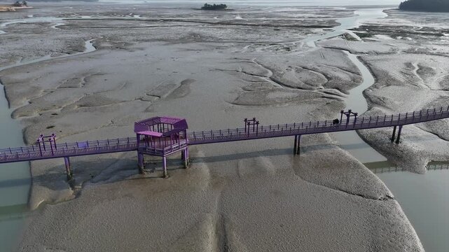 Aerial view of the Purple Bridge and dynamic green seaweed mudflats in Sinan, South Korea