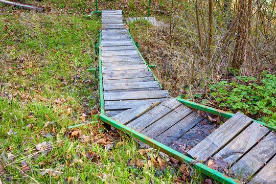 Rustic wooden pathway in forest overgrown with greenery and fall leaves