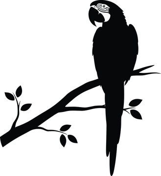 Silhouette of a parrot perched on a tree branch with leaves against a white background.