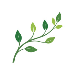 Fototapeta premium Green branch with leaves in minimal vector style