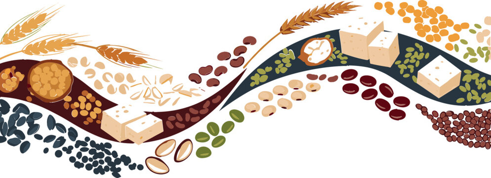Plant Based Protein Ingredients Banner Vector Illustration Featuring Beans, Lentils, Seeds, Tofu, Grains and Healthy Food Wave Composition in Flat Style