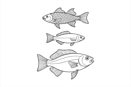 Marine Fish Outline Collection for Seafood Packaging Restaurant Menu Design