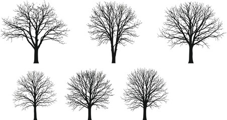 Obraz premium Six bare winter trees in minimalist row against white background, seasonal nature concept