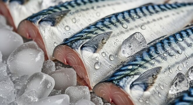 Fresh Mackerel on Ice - A Culinary Delight.