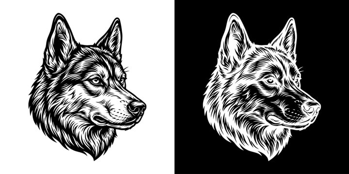 Detailed illustration of a wolfs head in contrasting black and white.