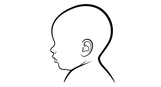 Silhouette of a baby's head in profile, illustrating the distinct features of an infant's facial structure from a side view