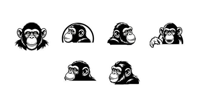 Chimpanzee Head Vector Set - Detailed Black and White Illustrations.