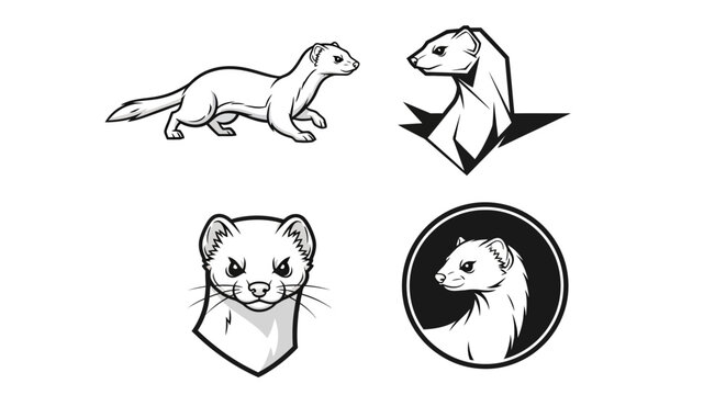 Collection of Stoat Illustrations - A Study in Black and White.