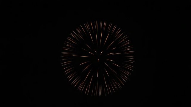 Gold radial firework burst with radiant spark trails celebrating night celebration burst sparkle