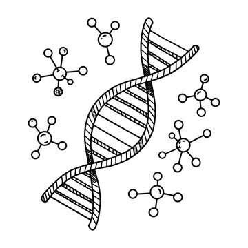 Scientific dna helix and molecule structure hand drawn illustration for research