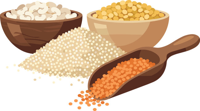 Grains and Legumes Vector Illustration with Rice, Lentils, Split Peas, Cashews and Wooden Scoop for Organic Food, Cooking and Agriculture Design