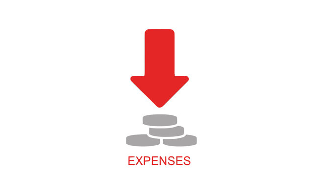 Red arrow pointing down to expenses.
