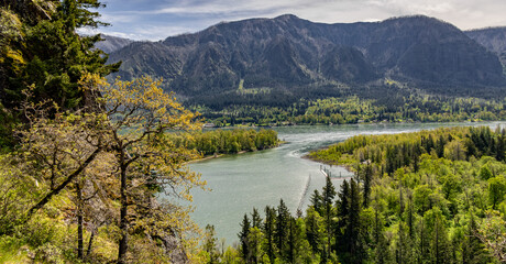 Fototapeta premium Columbia river gorge view from Beacon Rock State Park