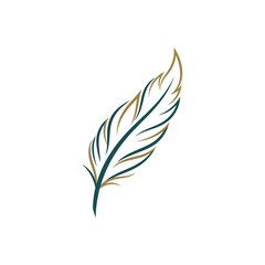 Fototapeta premium Elegant feather design with intricate details and colors