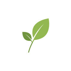 Fototapeta premium Green Leaves Symbol
