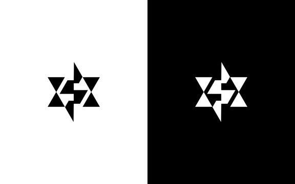 Letter S Star Logo with Negative Space Geometric Design