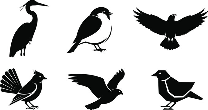 Black bird silhouette set with flying perched and wading birds isolated on white background wildlife vector illustration collection