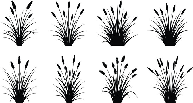 Black cattail and reed grass silhouette collection with wild wetland plants isolated on white background botanical vector illustration set