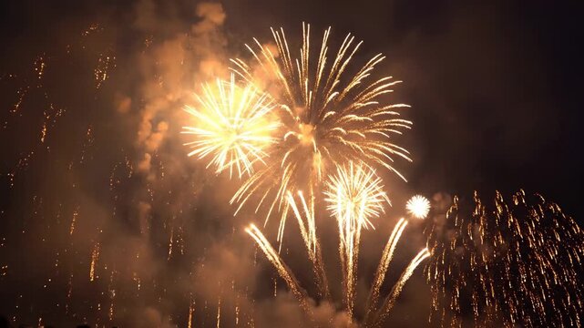 Fireworks display lights up night sky