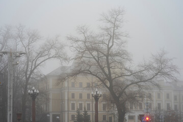 Naklejka premium Red traffic light in foggy city street with classic architecture and copy space