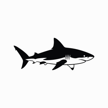 Black silhouette shark swimming in water Vector