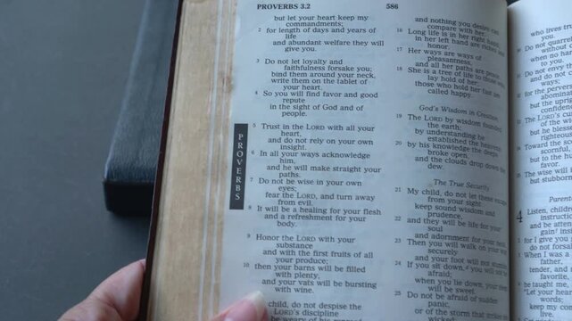 Opening the Book of Proverbs of the Old Testament in the Holy Bible, zooming into Proverbs chapter 3 verses 5 and 6. New Revised Standard Version.