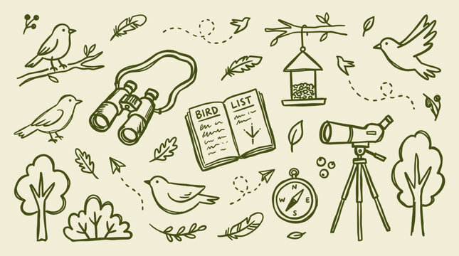 Birdwatching hobby illustration with binoculars telescope bird list and trees in a doodle style on a light green background