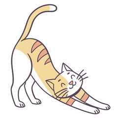 Naklejka premium Happy cat stretching its body with eyes closed.