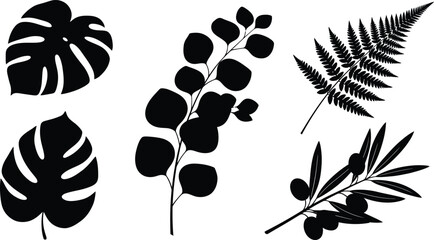 Black Monstera Eucalyptus Fern Leaves Silhouettes on White © Yusra