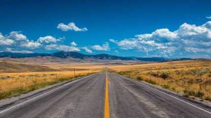 Obraz premium Serene Open Road Through Golden Prairie with Distant Mountains Under Bright Blue Sky and Fluffy Clouds Journey Adventure Exploration Nature Landscape