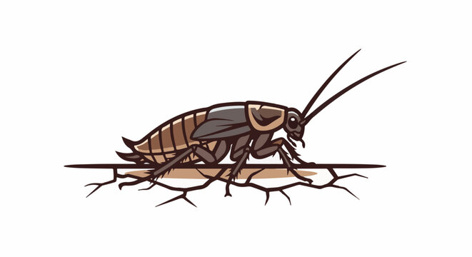 Brown insect with segmented body, antennae, and legs on a cracked surface