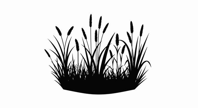 Black silhouette of reeds and marsh grass against a white background