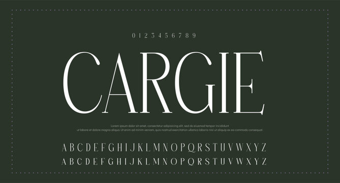 Creative modern rounded lowercase display font vector 
