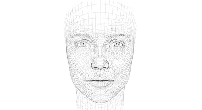 Wireframe model of a human face with eyes and expressionless mouth