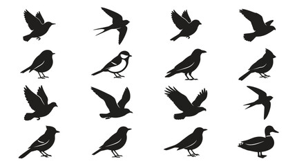 Fototapeta premium Collection of Various Bird Silhouettes.