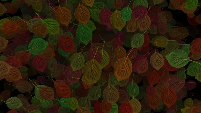 abstract background with leaves motion video.