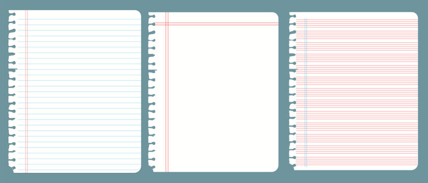 set of Realistic workbook torn paper sheets. Mockup sheets of paper torn from a notebook. Blank gridded notebook. Blank gridded notebook. Vector.