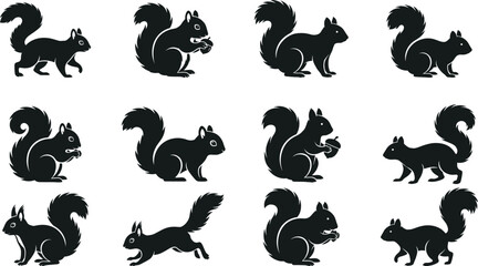 Fototapeta premium Squirrel silhouettes collection with various poses including sitting, jumping and eating for wildlife, nature and animal design projects