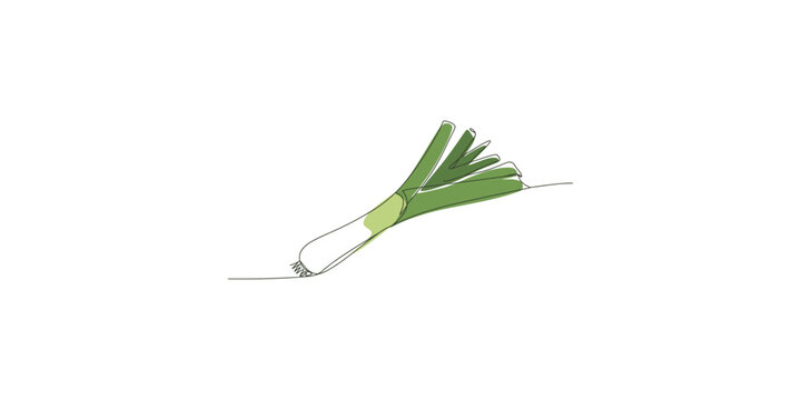 A green scallion or green onion with roots on a white background
