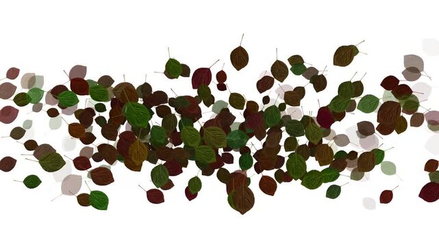 autumn leaves leaf motion video. 
